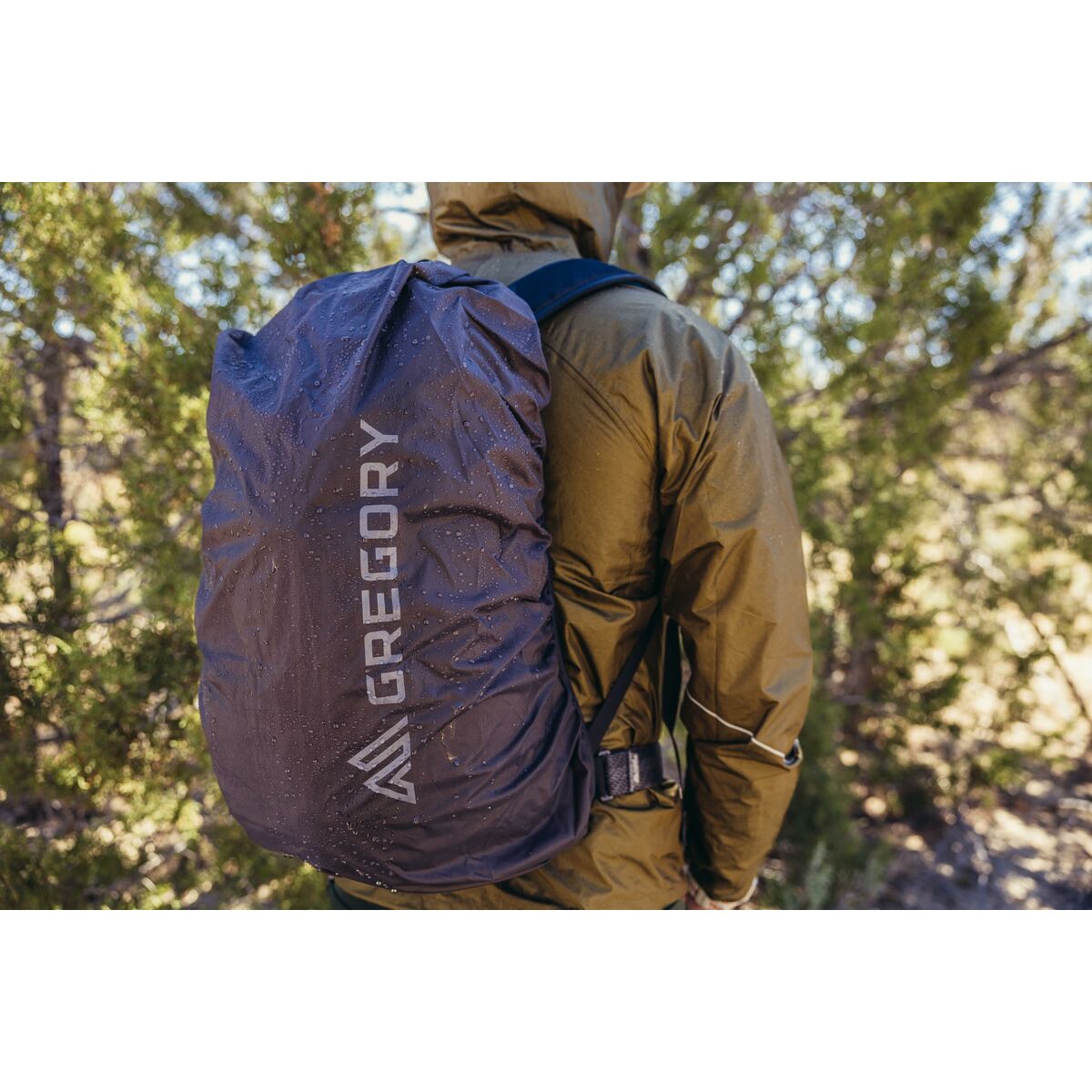 V2H42D5D9B766218068B50F6E66F6D1CFA6R6257078P10