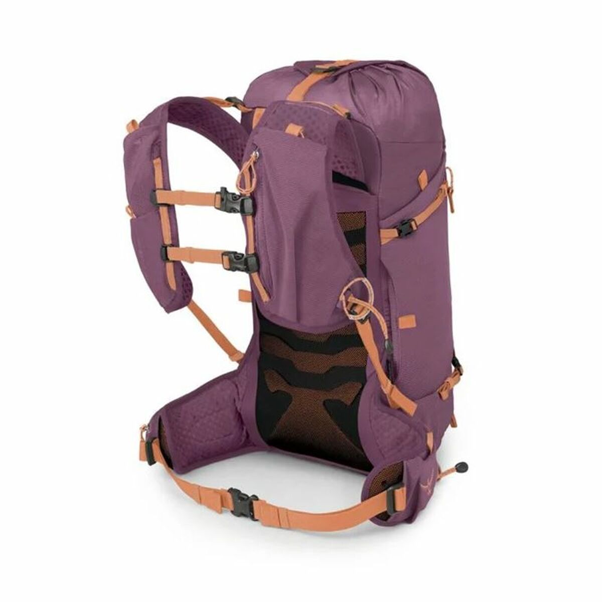 V2HB9D957606F342039BB98DF22E14F2F96R6669620P5