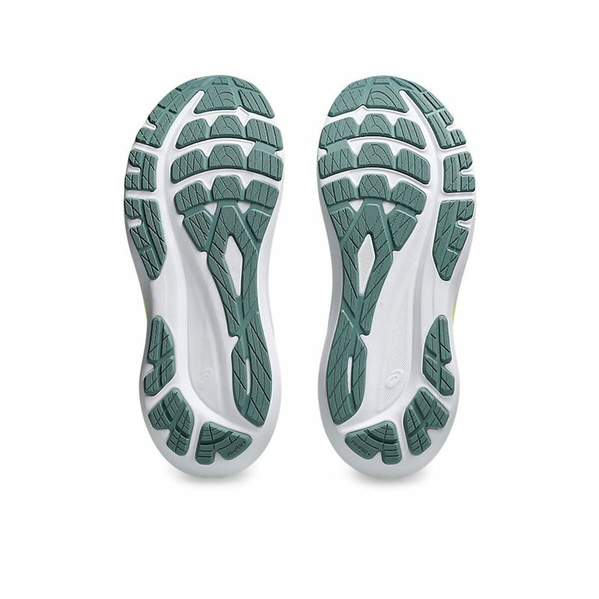 V3HB06C51539107AD5FEE7957DC5A246C36R5310941P2