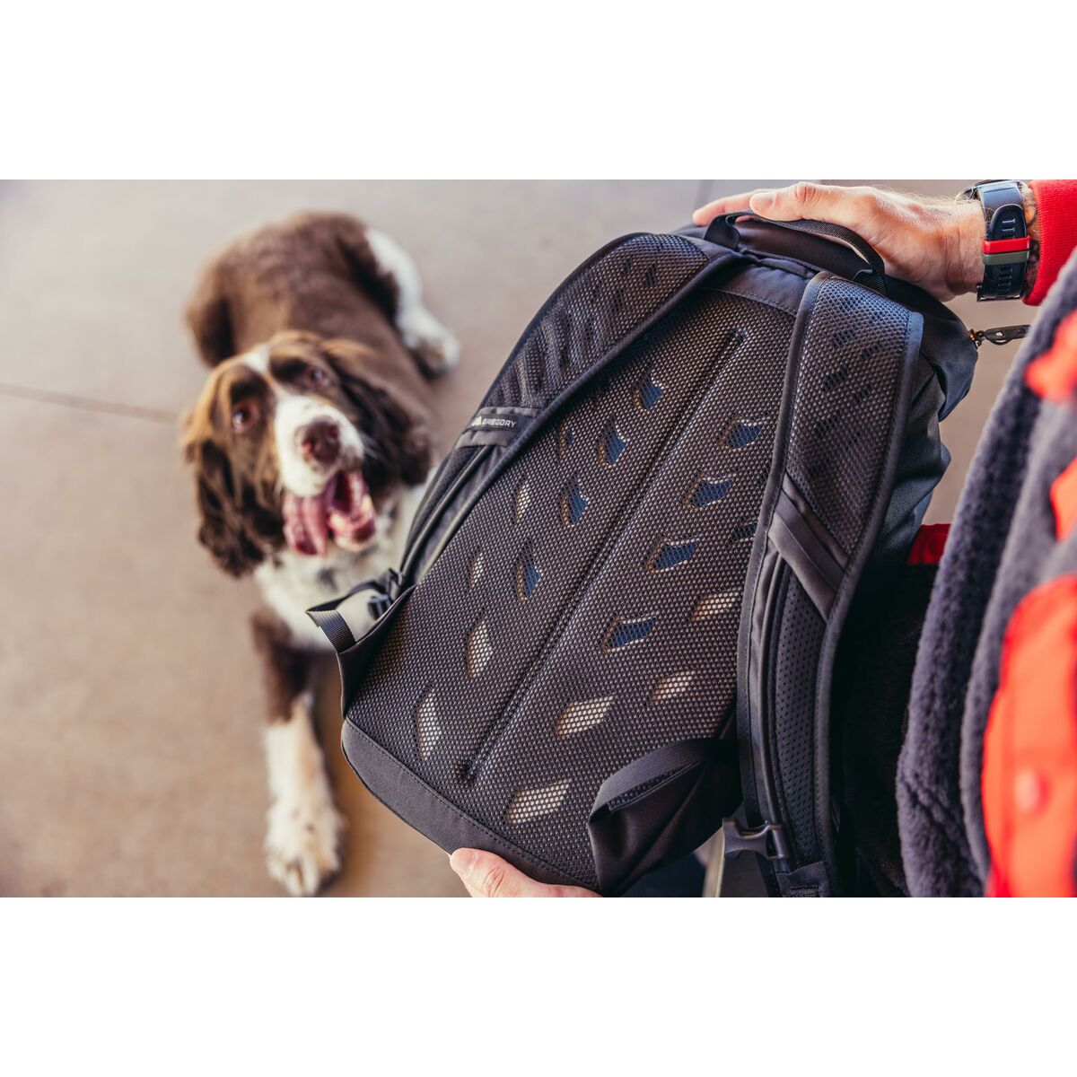 V2H8EF42AED09302EDD1154654E82994C2AR6257013P3