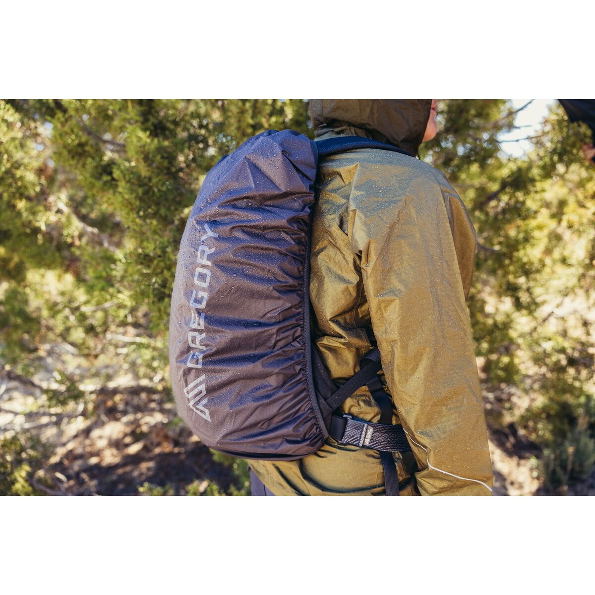 V2HE4A5CA7E60E82CAFA59F790E8FDB1EB7R6257086P8