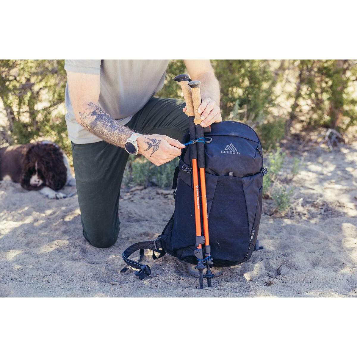 V2H72B2E1A823C400DA5D2C668EB5CD001BR6257076P8