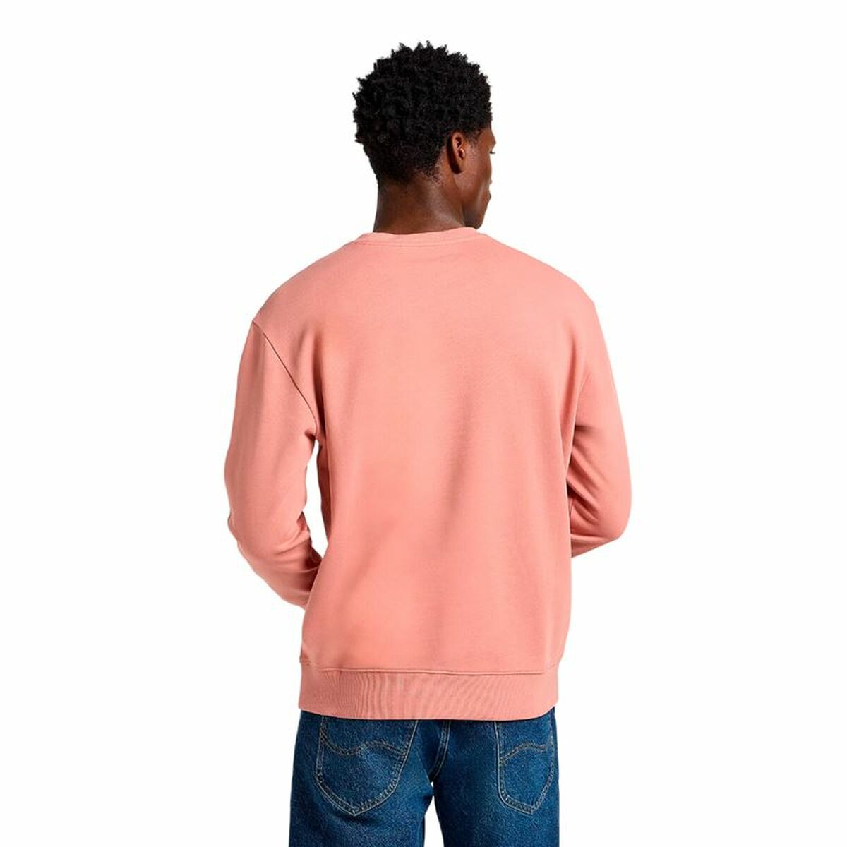 V2H33438FDF0D3A2EB5693BFB8A6F243D7BR6110447P2