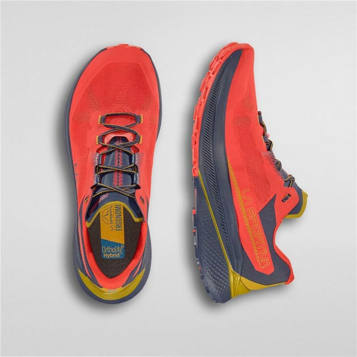 V2H7A813856BA3FF59379A31078E387E5BFR6075790P2