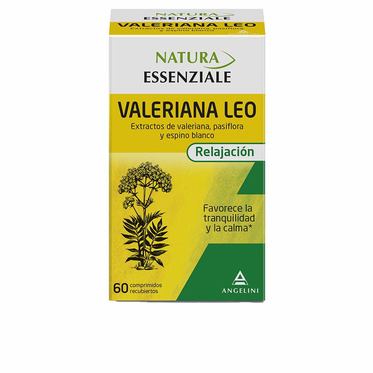 V5HE7C6504DEA5F2FDCAA3E04E1803ABF0AR3913300P3