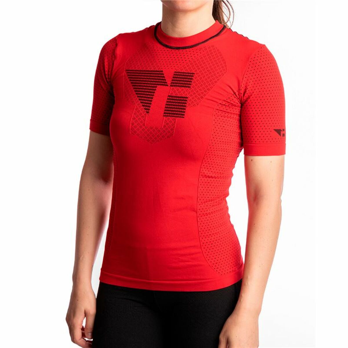 V2HE13BA270AF98D65DD95498101F50249ER6070612P3